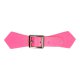 Kiltriempje 25 mm Roze Zilver 0062-786