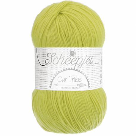 Scheepjes Our Tribe 878 Pistachio Branch