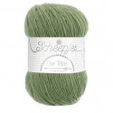 Scheepjes Unity 1x100g - 879 Kristina