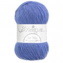 Scheepjes Unity 1x100g - 883 Rineke