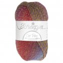 Scheepjes Unity 1x100g - 972 Look at what I made