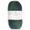 Scheepjes Unity 1x100g - 974 The Curio Crafts Room