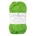 Linen Soft Scheepjeswol Kleur 627
