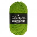 Scheepjes Chunky Monkey 100g - 2016 Fern