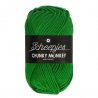 Scheepjes Chunky Monkey 100g - 2014 Emerald