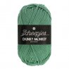Scheepjes Chunky Monkey 100g - 1725 Eucalyptus