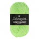 Scheepjes Chunky Monkey 100g - 1316 Pistachio