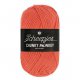 Scheepjes Chunky Monkey 100g - 1132 Coral
