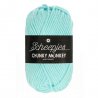 Scheepjes Chunky Monkey 100g - 1034 Baby Blue