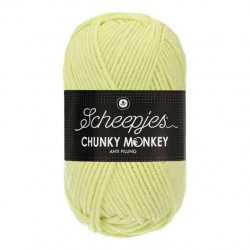Scheepjes Chunky Monkey 100g - 1020 Mint