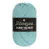 Scheepjes Chunky Monkey 100g - 1019 Powder Blue