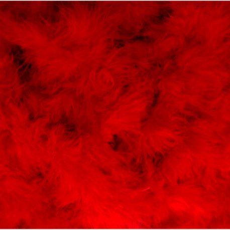 Dons band rood 10250-519