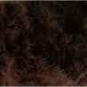 10 mtr Dons band bruin 10250-570