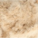 10 mtr Dons band beige 10250-572