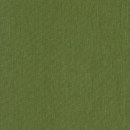 Kitsilano Jeans Sunproof Army Groen 070