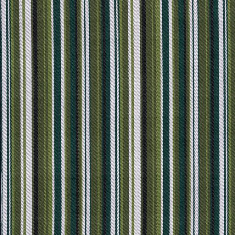 Strepen Bray Sunproof groen 020