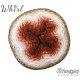 Whirl Scheepjeswol Bruin Beige 777 Scrumpthious Lush