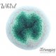 Whirl Scheepjeswol Groen Blauw 781 Sea Breeze Tease