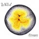 Whirl Scheepjeswol Geel Zwart Grijs 787 Dandelion Munchies