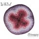 Whirl Scheepjeswol Rood Paars 789 Tasty Nom Nom