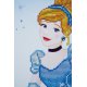 Diamond painting kit Disney Assepoester PN-0173560