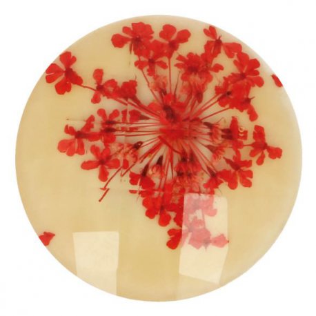 Knoop bloem maat 40 - 25.00mm Oranje Creme