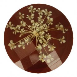 Knoop bloem maat 40 - 25.00mm Geel Bruin 932