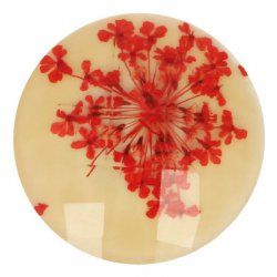 Knoop bloem maat 54 - 33.75mm Oranje Creme 089