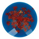 20x Knoop bloem maat 54 - 33.75mm Rood Blauw 235