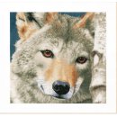 Telpakket kit Wolf  PN-0166758