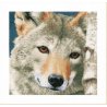 Telpakket kit Wolf  PN-0166758