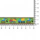 20 mtr GEWEVEN BAND TRUCKS 16MM 65877-02 Groen, Blauw, Geel