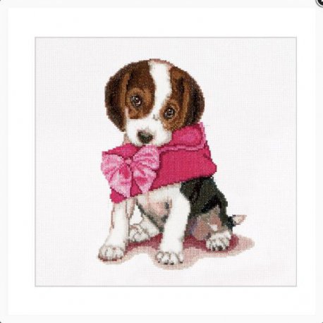 Thea G. Puppy Love Aida