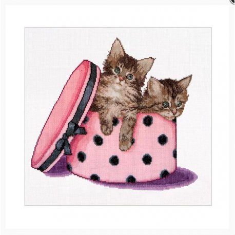Thea G. Kitten twins op Aida