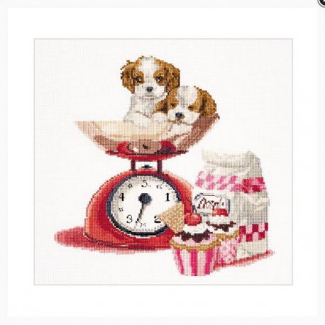 Thea G. Cupcake Puppy op Aida