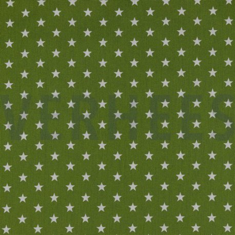 Poplin Kleine Sterretjes 04955 V Groen 017
