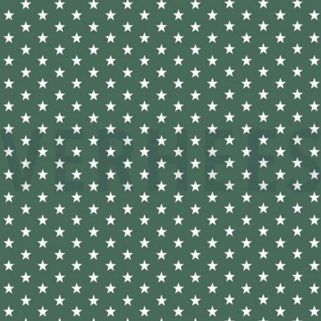 Poplin Kleine Sterretjes 04955 V Groen 027
