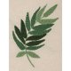 Anchor Punch Needle Palm Leaf 	090.APN005
