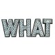 Applicatie WHAT 	013.10248