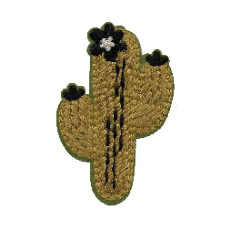 Applicatie Cactus 013.10253