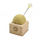 COHANA MASU MINI SPELDENKUSSEN MET NAALD geel 45-098