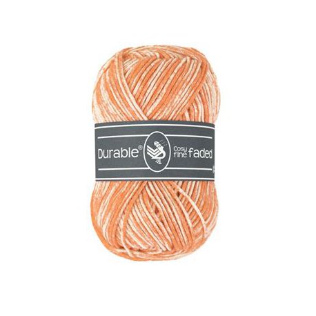Durable Cosy Fine Faded 50gr art 	010.79 kleur 2197