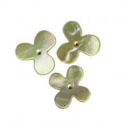 COHANA BLOEM PUNAISES VAN OESTER SCHELP 45-103 geel
