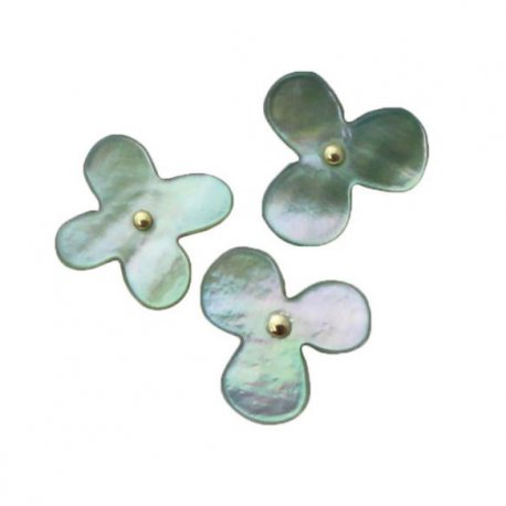 COHANA BLOEM PUNAISES VAN OESTER SCHELP 45-105 Groen
