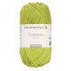 Catania 50 gr Schachemayr Kleur groen 298
