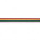 10mtr ELASTIEK GESTREEPT REGENBOOG 25MM 78524 Geel