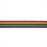 10 mtr ELASTIEK GESTREEPT REGENBOOG 40MM 78526 geel