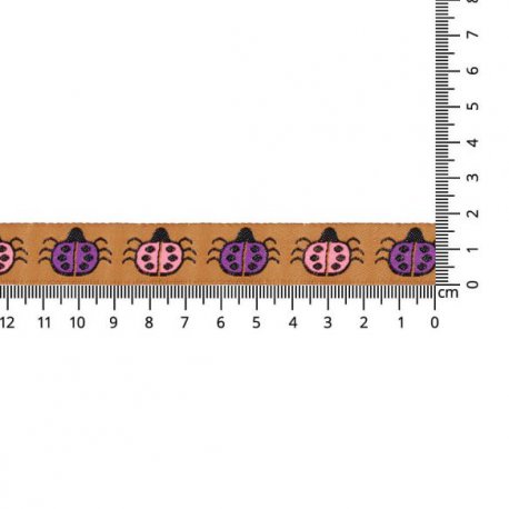 GEWEVEN BAND LIEVEHEERSBEESTJES 17MM 67481-01 Goud, Roze