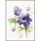 TELPAKKET KIT BLAUWE ANEMONEN PN-0008028