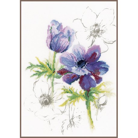 TELPAKKET KIT BLAUWE ANEMONEN PN-0008028